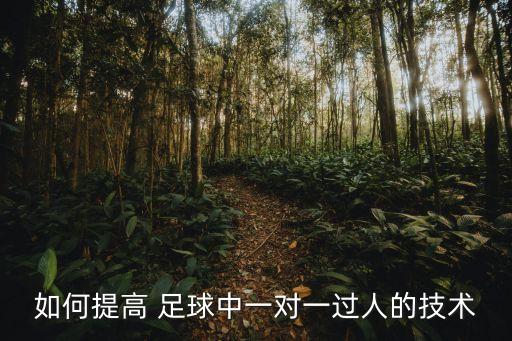 如何提高 足球中一對一過人的技術(shù)