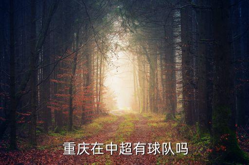 重慶力帆專業(yè)足球場(chǎng)