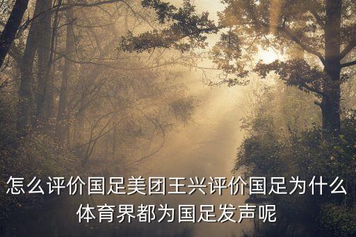 怎么評價國足美團(tuán)王興評價國足為什么體育界都為國足發(fā)聲呢