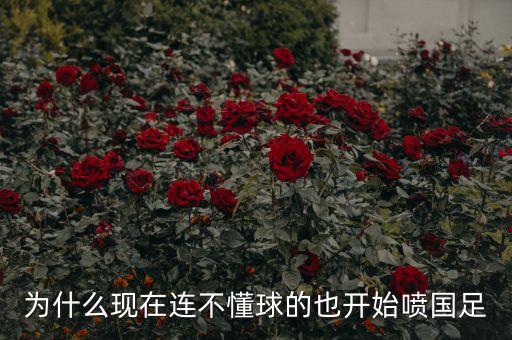 為什么現(xiàn)在連不懂球的也開始噴國足