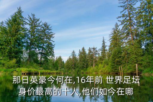 那日英豪今何在,16年前 世界足壇身價(jià)最高的十人,他們?nèi)缃裨谀? class=