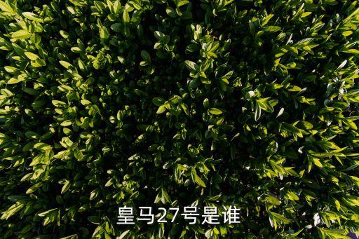 皇馬27號(hào)是誰(shuí)