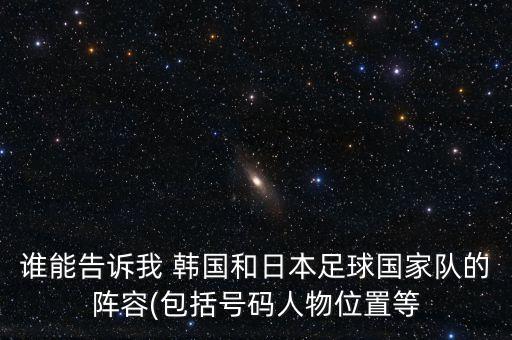 誰能告訴我 韓國和日本足球國家隊的陣容(包括號碼人物位置等