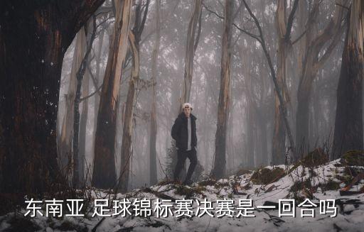 東南亞 足球錦標(biāo)賽決賽是一回合嗎