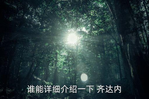 法國足球名將簡介齊達內(nèi)