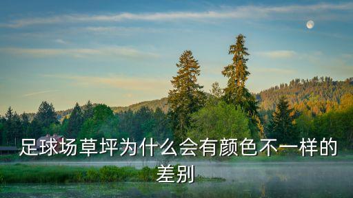  足球場(chǎng)草坪為什么會(huì)有顏色不一樣的差別