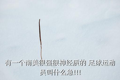 有一個南美很強很神經(jīng)質(zhì)的 足球運動員叫什么急!!!