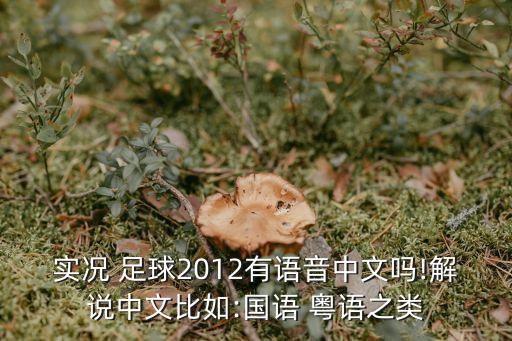 實(shí)況 足球2012有語(yǔ)音中文嗎!解說中文比如:國(guó)語(yǔ) 粵語(yǔ)之類