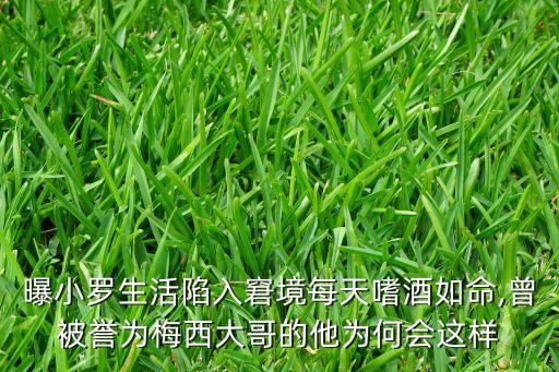 曝小羅生活陷入窘境每天嗜酒如命,曾被譽(yù)為梅西大哥的他為何會這樣