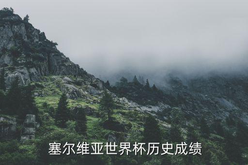  塞爾維亞世界杯歷史成績(jī)