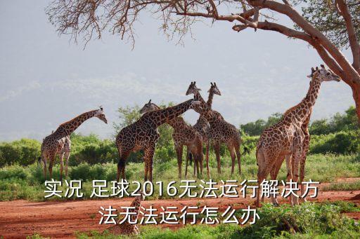  實(shí)況 足球2016無(wú)法運(yùn)行解決方法無(wú)法運(yùn)行怎么辦