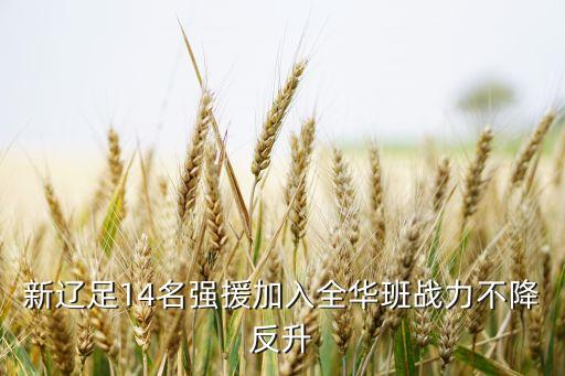 昆明銳龍足球俱樂(lè)部,昆明最好的足球俱樂(lè)部