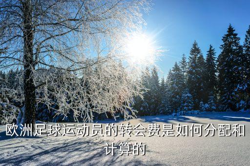 國際縱隊足球隊