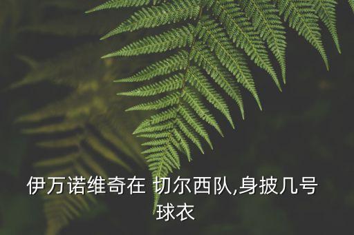 伊萬(wàn)諾維奇在 切爾西隊(duì),身披幾號(hào) 球衣