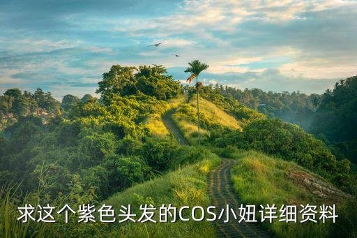 求這個(gè)紫色頭發(fā)的COS小妞詳細(xì)資料