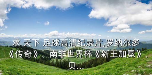 求 天下 足球高清紀(jì)錄片,羅納爾多《傳奇》、南非世界杯《新王加冕》、貝...