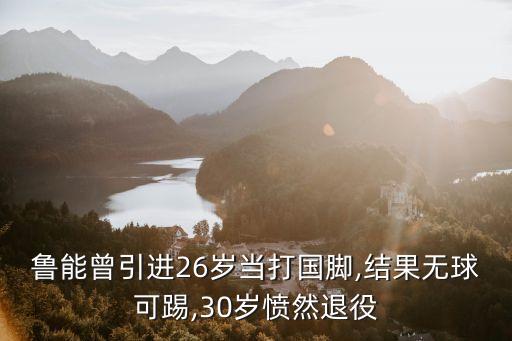 魯能曾引進(jìn)26歲當(dāng)打國腳,結(jié)果無球可踢,30歲憤然退役
