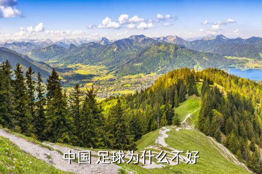 中國 足球為什么不好