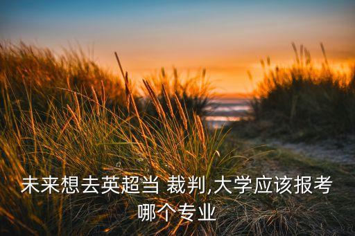未來想去英超當(dāng) 裁判,大學(xué)應(yīng)該報(bào)考哪個(gè)專業(yè)