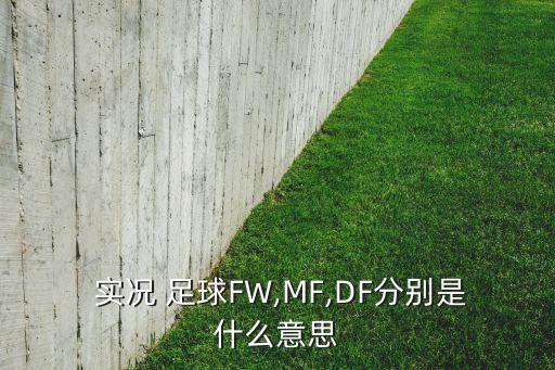 實況足球評價D