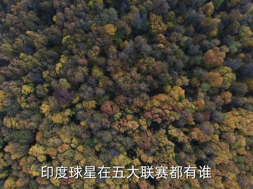 印度球星在五大聯(lián)賽都有誰