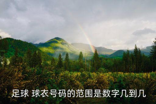  足球 球衣號碼的范圍是數(shù)字幾到幾