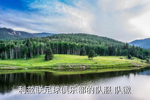 歐洲足球隊(duì)隊(duì)徽,世界各國足球隊(duì)隊(duì)徽
