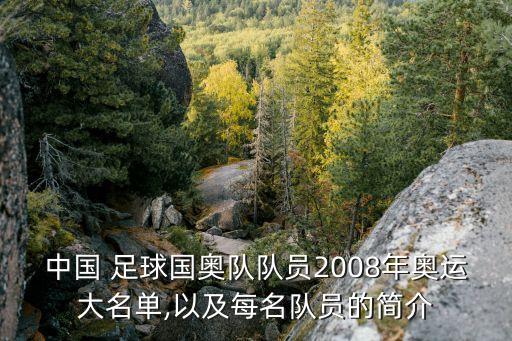 中國 足球國奧隊隊員2008年奧運大名單,以及每名隊員的簡介