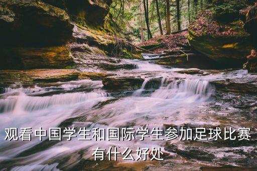 觀看中國(guó)學(xué)生和國(guó)際學(xué)生參加足球比賽有什么好處
