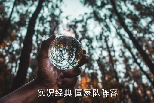  實(shí)況經(jīng)典 國家隊(duì)陣容