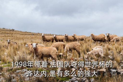 1998年帶著 法國隊(duì)奪得世界杯的 齊達(dá)內(nèi),是有多么的強(qiáng)大