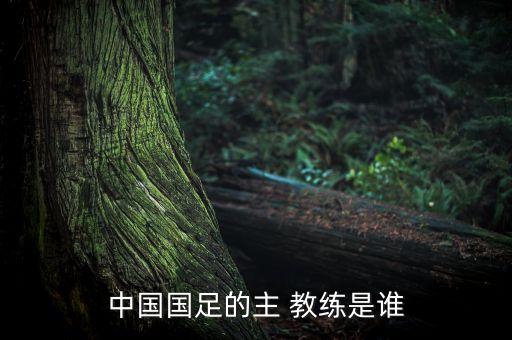 華夏幸福足球隊(duì)教練是誰(shuí),葉珺 華夏幸福足球隊(duì)