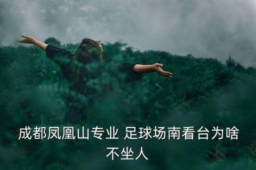  成都鳳凰山專業(yè) 足球場(chǎng)南看臺(tái)為啥不坐人