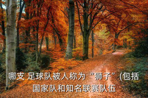 哪支 足球隊(duì)被人稱為“獅子”(包括國家隊(duì)和知名聯(lián)賽隊(duì)伍