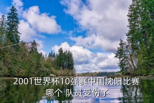 2001世界杯10強(qiáng)賽中國(guó)沈陽(yáng)比賽哪個(gè) 隊(duì)員受傷了