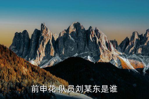 前申花 隊(duì)員劉某東是誰