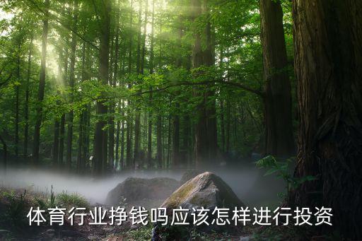 體育行業(yè)掙錢(qián)嗎應(yīng)該怎樣進(jìn)行投資