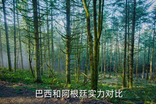  巴西和阿根廷實(shí)力對比