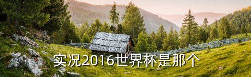  實(shí)況2016世界杯是那個(gè)