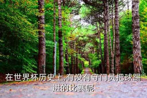 在世界杯歷史上,有沒有守門員把球踢進(jìn)的比賽呢