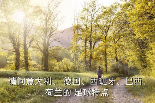 請問意大利、 德國、西班牙、巴西、荷蘭的 足球特點