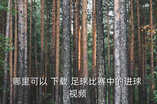 足球相關的小視頻下載,足球視頻下載網(wǎng)站