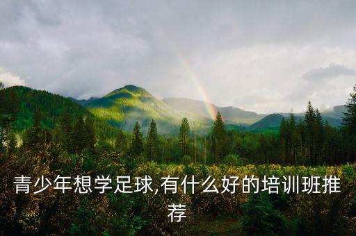 青少年想學(xué)足球,有什么好的培訓(xùn)班推薦
