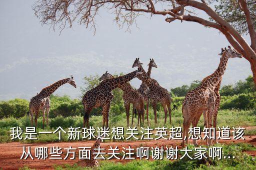 我是一個新球迷想關注英超,想知道該從哪些方面去關注啊謝謝大家啊...