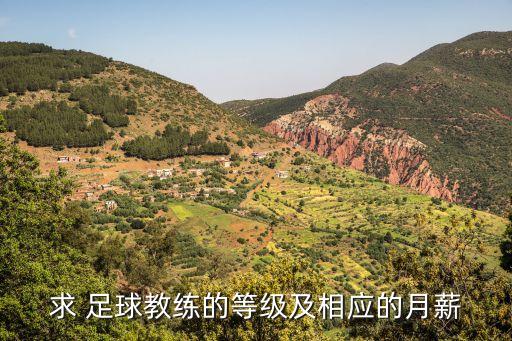 求 足球教練的等級(jí)及相應(yīng)的月薪