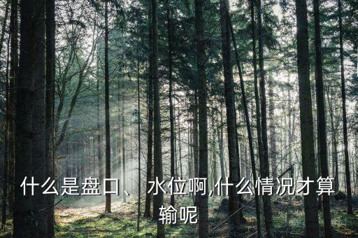 什么是盤(pán)口、 水位啊,什么情況才算輸呢