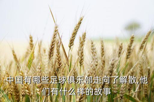 中國有哪些足球俱樂部走向了解散,他們有什么樣的故事