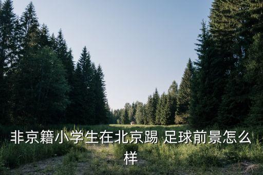 職業(yè)足球化妝,中國(guó)有多少職業(yè)足球運(yùn)動(dòng)員