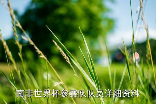 南非世界杯參賽隊隊員詳細(xì)資料