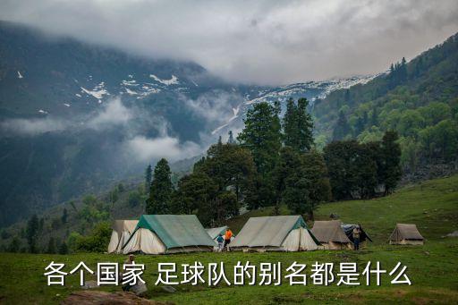 各個(gè)國家 足球隊(duì)的別名都是什么